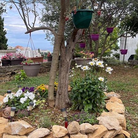 Apartments Radulovic Ulcinj Eksteriør billede