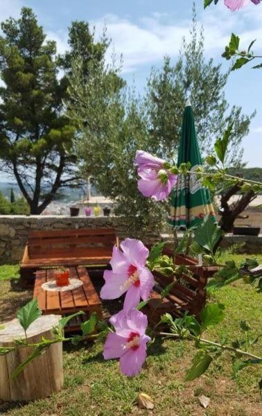 Apartments Radulovic Ulcinj Eksteriør billede