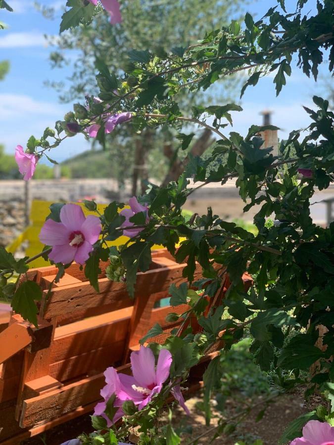 Apartments Radulovic Ulcinj Eksteriør billede